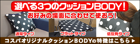 クッションボディ