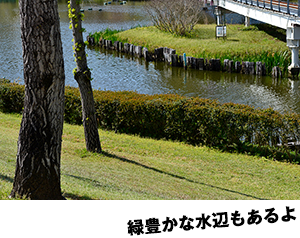 撮影場所イメージ