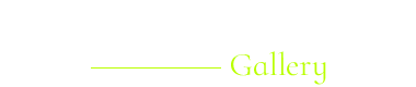 展示情報